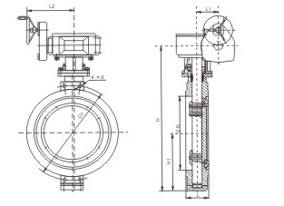 D371X-16蝸輪蝶閥結構圖