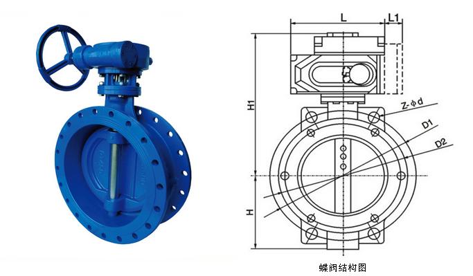 蝶閥結構圖